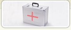Travel Insurance Medical Info